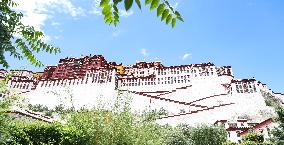 Tourists Visit The Potala Palace in Lhasa