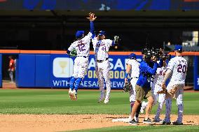 MLB Washington Nationals v New York Mets