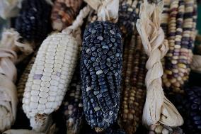 Pre-Hispanic Gastronomy Fair In Mexico