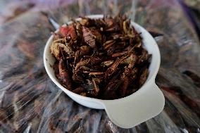 Pre-Hispanic Gastronomy Fair In Mexico