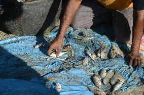Fisheries In Indonesia