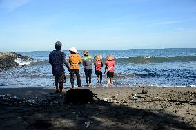 Fisheries In Indonesia