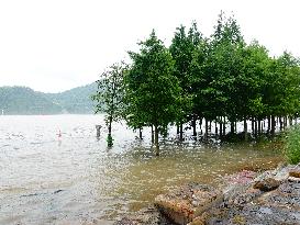 Rainstorm Hit Yichang