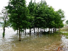 Rainstorm Hit Yichang