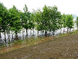 Rainstorm Hit Yichang