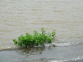 Rainstorm Hit Yichang