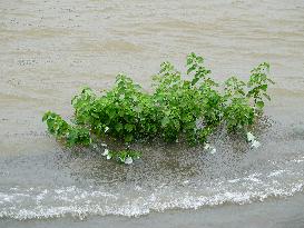 Rainstorm Hit Yichang