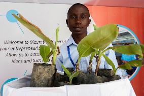 TANZANIA-DAR ES SALAAM-INNOVATIVE BANANA SEEDLING