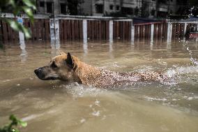 Waterlogging In Dhaka