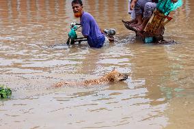 Waterlogging In Dhaka