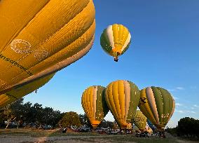 28th European Balloon Festival in Igualada