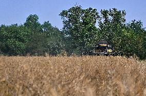 Harvesting rapeseed in Zaporizhzhia region