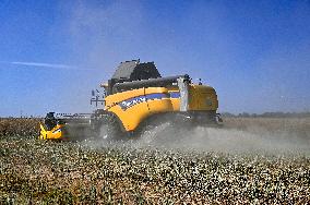 Harvesting rapeseed in Zaporizhzhia region