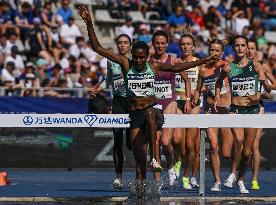 2024 Diamond League - Meeting De Paris