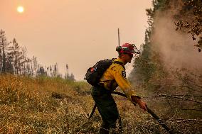 Out-Of-Control Wildfires Rage In Alberta - Canada