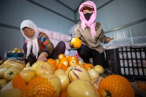 (VistaNingxia)CHINA-NINGXIA-WUZHONG-FACILITY AGRICULTURE (CN)