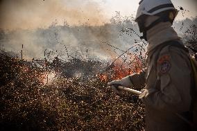 Wildfires In Pantanal