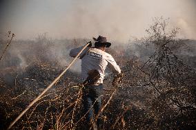 Wildfires In Pantanal