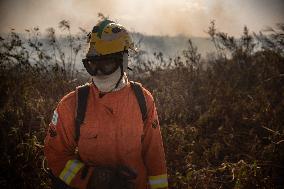 Wildfires In Pantanal