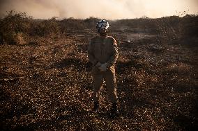 Wildfires In Pantanal