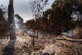 Wildfires In Pantanal