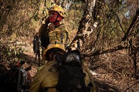 Wildfires In Pantanal