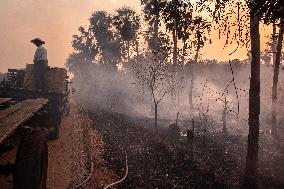 Wildfires In Pantanal