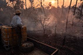 Wildfires In Pantanal