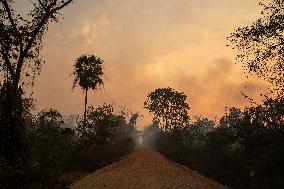 Wildfires In Pantanal