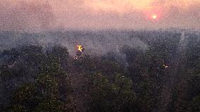 Wildfires In Pantanal