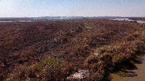 Wildfires In Pantanal