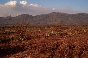 Wildfires In Pantanal