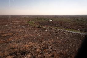 Wildfires In Pantanal