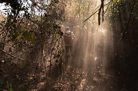 Wildfires In Pantanal