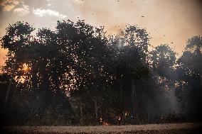 Wildfires In Pantanal