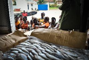 GUINEA-BISSAU-BISSAU-CHINA-COOPERATION-FISHERY INDUSTRY