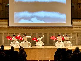 SWITZERLAND-BERN-CHINESE MARTIAL ARTS PERFORMANCE