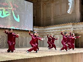 SWITZERLAND-BERN-CHINESE MARTIAL ARTS PERFORMANCE