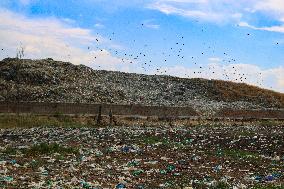 Unscientific Waste Turns Wetland Into Wasteland, Raising Health Concerns