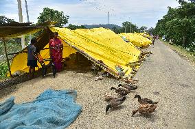 Flood In Assam