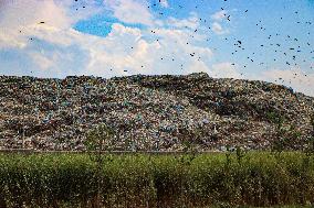 Unscientific Waste Turns Wetland Into Wasteland, Raising Health Concerns