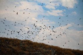 Unscientific Waste Turns Wetland Into Wasteland, Raising Health Concerns