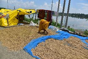 Flood In Assam