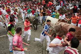 Seventh running of the bulls of the Fiestas de San Fermin 2024