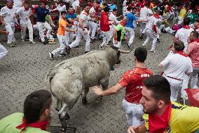 Seventh running of the bulls of the Fiestas de San Fermin 2024