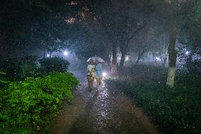 Rainstorm Hit Chongqing