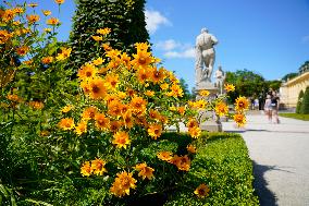 POLAND-WARSAW-WILANOW PALACE-SCENERY