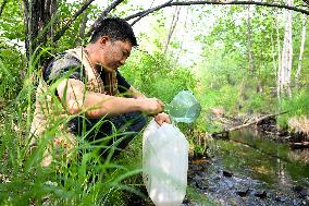 ChineseToday | Young couple inherit Aoluguya Ewenki legacy in forests in north China