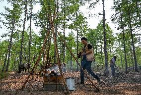 ChineseToday | Young couple inherit Aoluguya Ewenki legacy in forests in north China