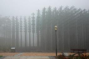 Beer Jungle in Qingdao